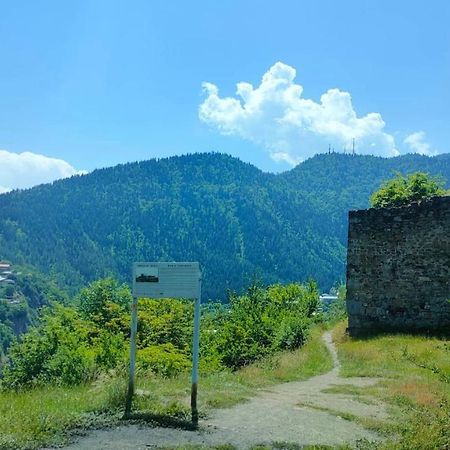 Guest House Gogias Cixe Bordzjomi Buitenkant foto