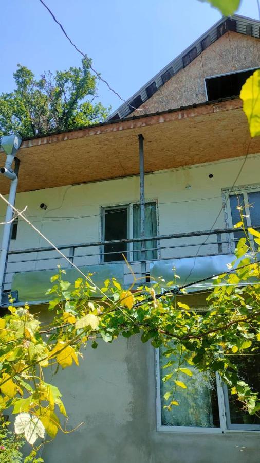 Guest House Gogias Cixe Bordzjomi Buitenkant foto