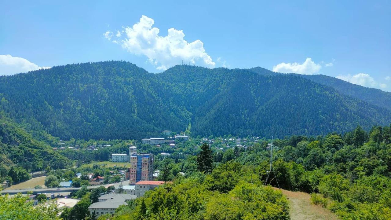 Guest House Gogias Cixe Bordzjomi Buitenkant foto