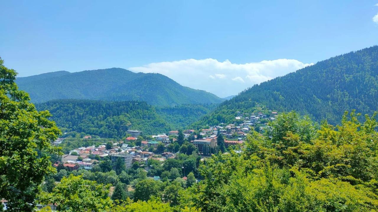 Guest House Gogias Cixe Bordzjomi Buitenkant foto