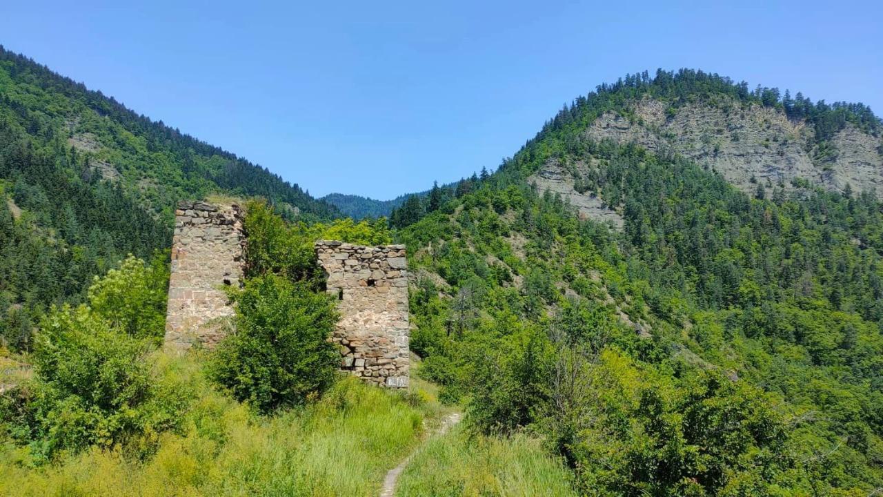 Guest House Gogias Cixe Bordzjomi Buitenkant foto