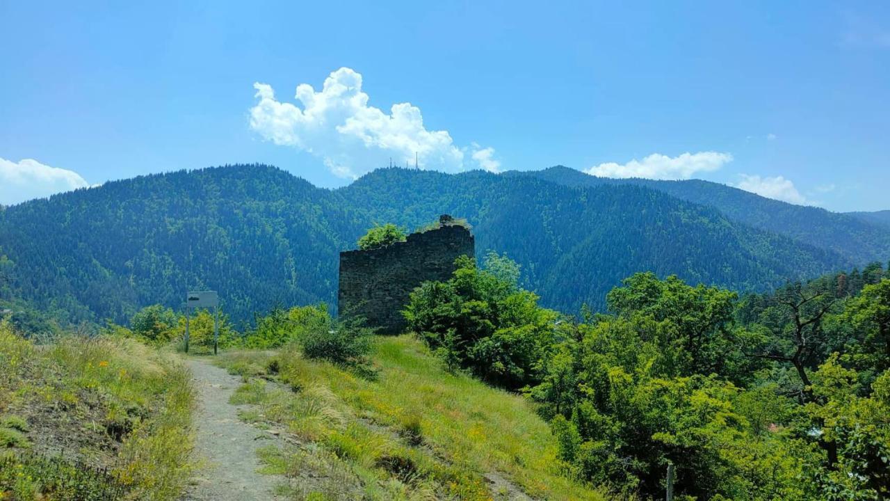 Guest House Gogias Cixe Bordzjomi Buitenkant foto